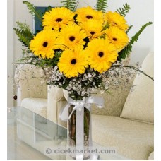 Sarı Gerbera